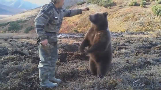 Необычные случаи на охоте