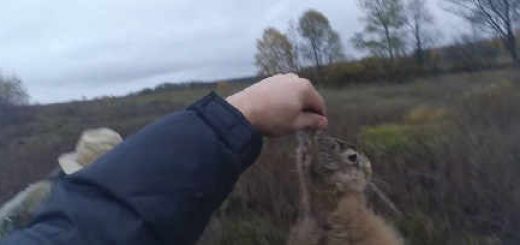 Охота на зайца в Запорожской области