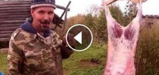 Любительская разделка барана