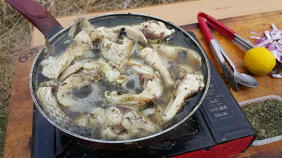 ВАРЕНЫЙ ПИЛЕНГАС В КАМЫШАХ НА СКОВОРОДЕ
