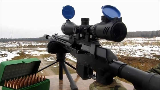 Стрельба из Вепрь - 308 на 500 метров