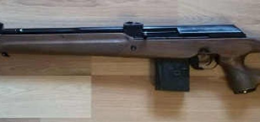 Вепрь .308