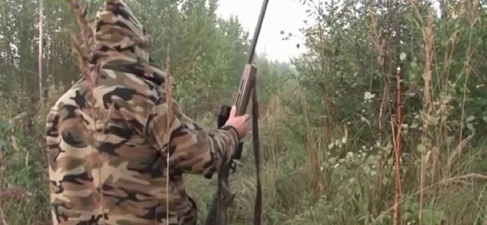 Охота на оленей на реву