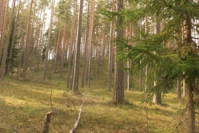 Осенний отдых на природе
