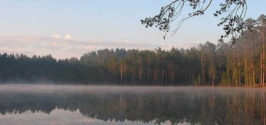 Загородный отдых в Ленинградской области