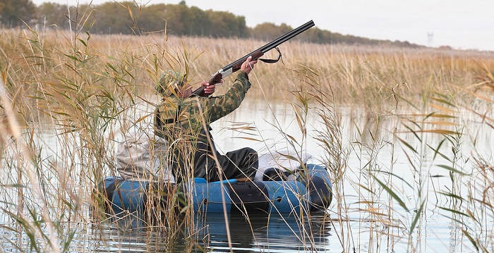 Сезоны любительской охоты
