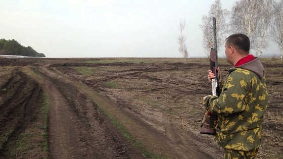 Сравнение Ata Arms Neo 12 и Benelli Raffaello Crio Comfort