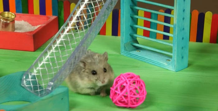 Игрушки для хомяков