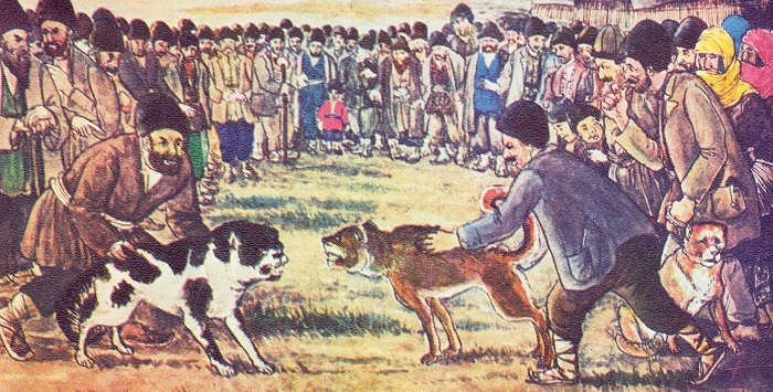 Собачьи бои