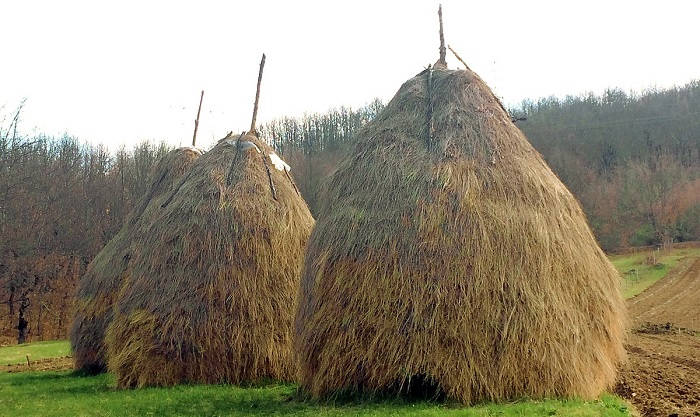 Заготовка бурого сена