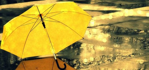 Как правильно выбрать зонтик