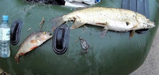 Рыбалка на карельском озере