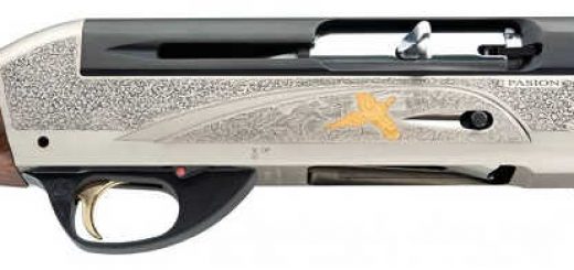 Benelli Pasion SL80