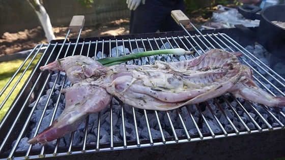 Сочный шашлык из кролика с соусом из шампиньонов