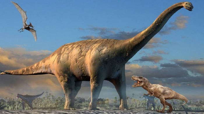 Откладывали ли яйца динозавры