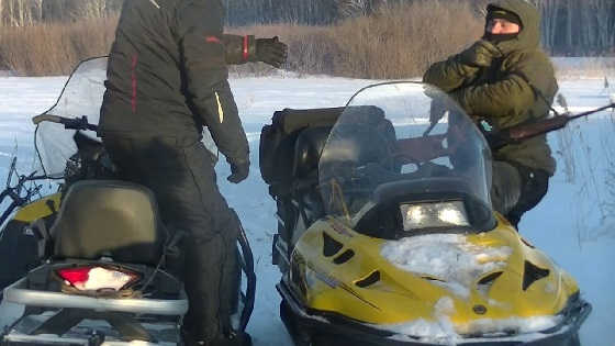 Задержание начальника ГИБДД с тушей кабана в Сузуне