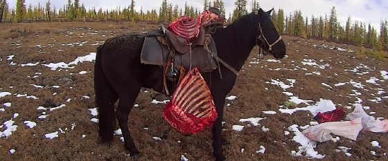 КОННАЯ ОХОТА