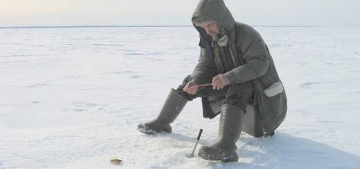 Ловля на мели со льда