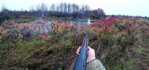 Охота с ружьем МР-155 в октябре