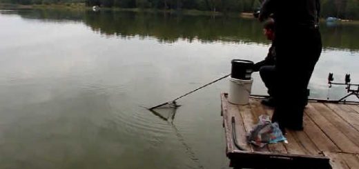 На озере рыбачим с чемпионом