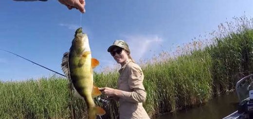 На рыбалку с женой
