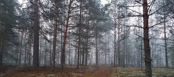 НОЧЁВКА В ГЛУХОЙ ТАЙГЕ