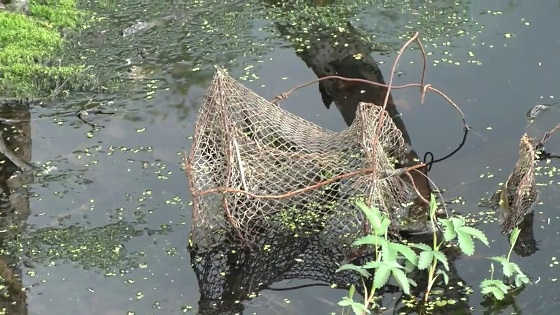 Один из старых способов ловли рыбы