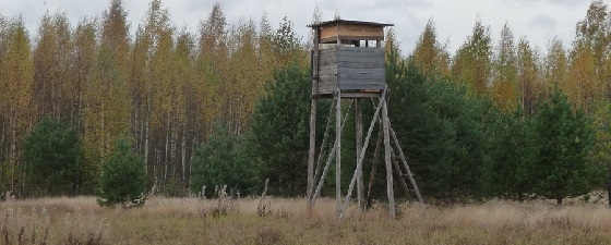 Охотничья романтика