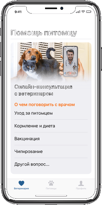 онлайн консультация с ветеринаром