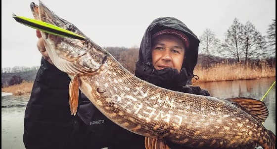 Весенний жор крупной щуки