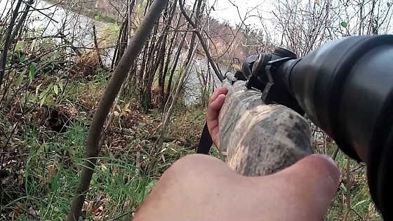 Охота с пневматикой Gamo Big Cat CF