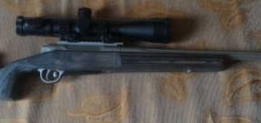 ORSIS Varmint 308