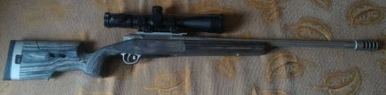 ORSIS Varmint 308