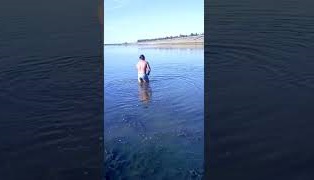 Амур 15кг в Гомеле на болду
