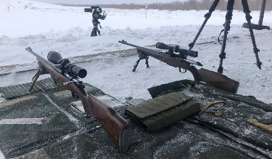 БИТВА ЛОСЕЙ 308 win