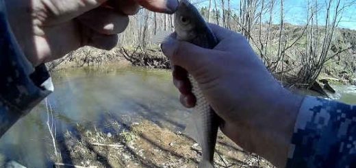 Рыбалка Весной На Удочку С Боковым Кивком