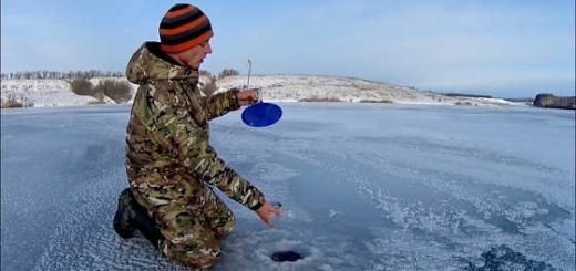 ЩУКА НЕ ВЛЕЗАЕТ В ЛУНКУ