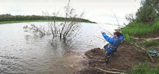 РЫБАЛКА В ДЕРЕВНЕ НА СЕВЕРЕ