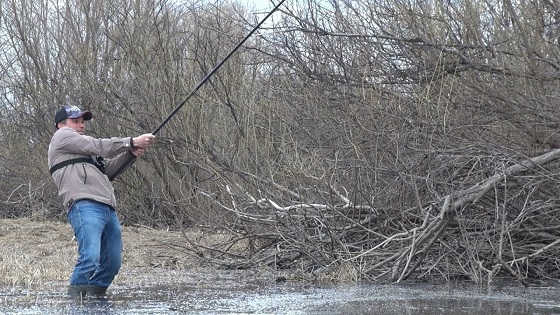 За ЖИРНОЙ ПЛОТВОЙ в кусты