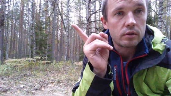 Как понять, что рядом медведь?