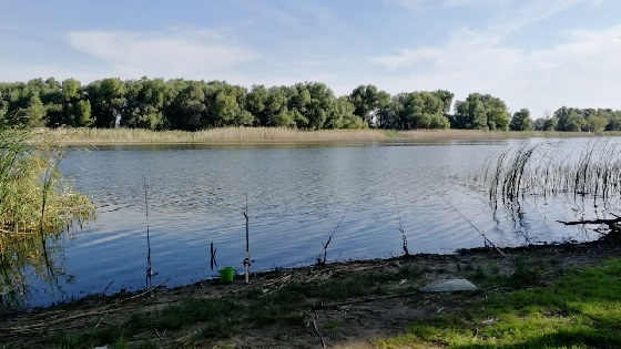 Рыбалка на удочку САМОЛОВКУ