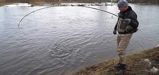 Рыбалка на ОГРОМНЫХ РЫБ с берега на спиннинг