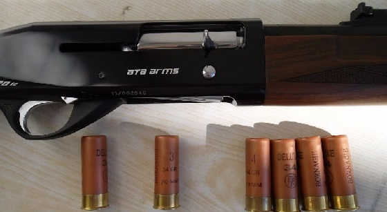 Ata Arms NEO 12 устройство и отстрел