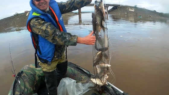 РЫБАЛКА НА ХАПУГУ ЛЕТОМ С ЛОДКИ