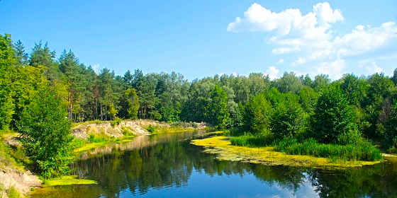Река ПСЁЛ