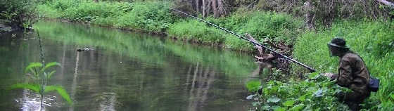 рыбалка на гусь речке