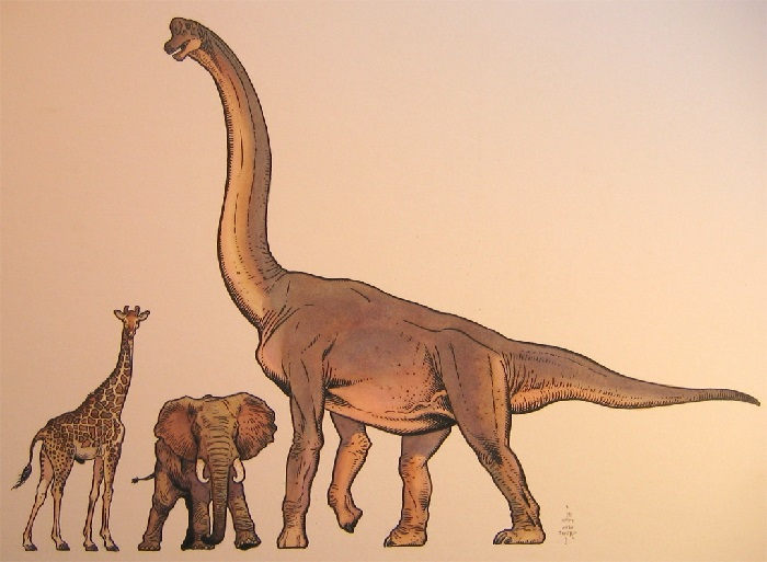 Насколько высокие были динозавры?