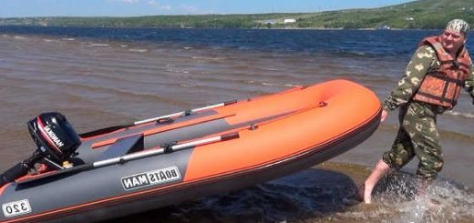 Лодка ПВХ Boatsman НДНД 320