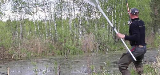 Ловля щуки на живца с берега