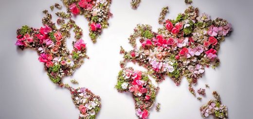 Доставка цветов по всему миру